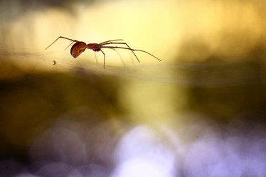 Similar image 10497759