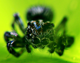 Similar image 10497760