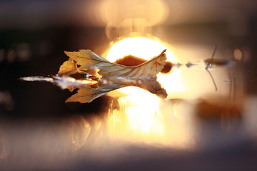 Similar image 10497762