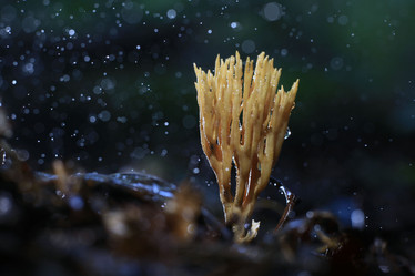 Similar image 10497781