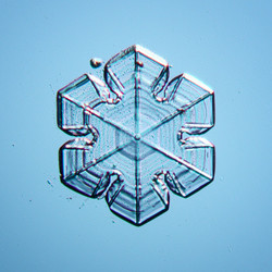 Similar image 10497782