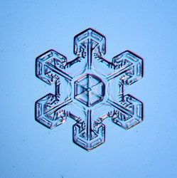 Similar image 10497784