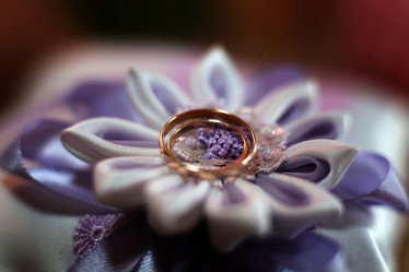 Similar image 10497786