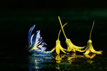 Similar image 10497792