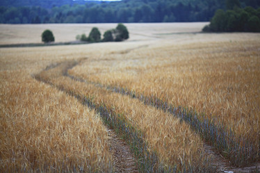 Similar image 10497796