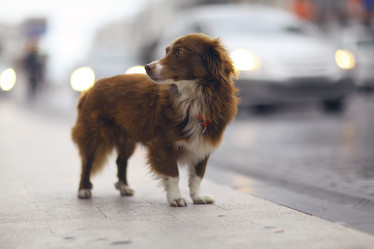 Similar image 10497803