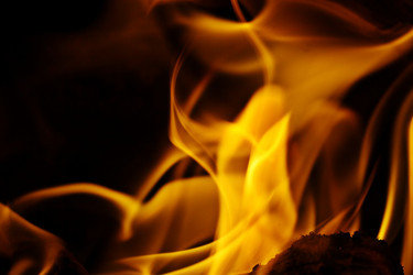 Similar image 10497809