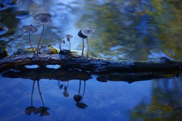 Similar image 10497813