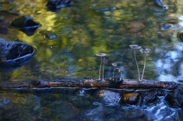 Similar image 10497814