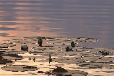 Similar image 10497819