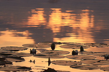 Similar image 10497820