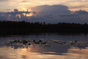 Similar image 10497821