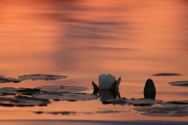 Similar image 10497822