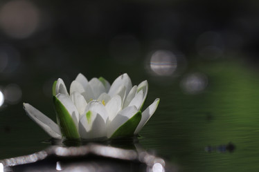 Similar image 10497824