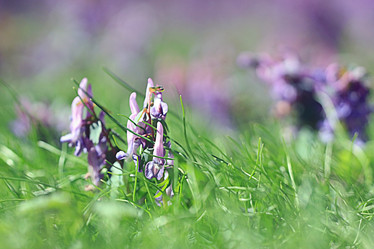 Similar image 10497830