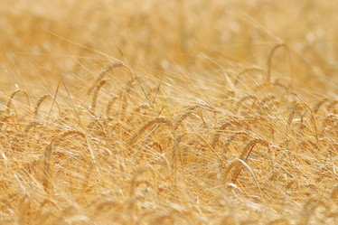 Similar image 10497841