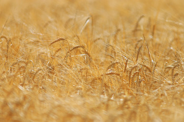 Similar image 10497846