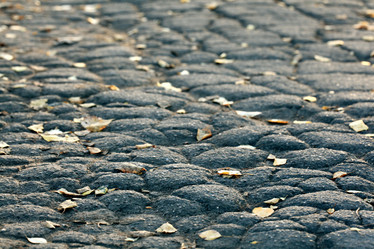 Similar image 10497851