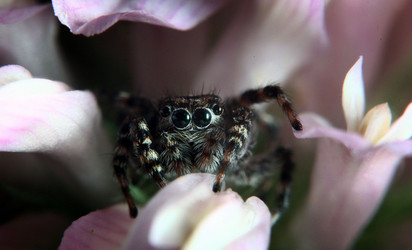 Similar image 10497855