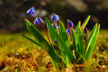 Similar image 10497856