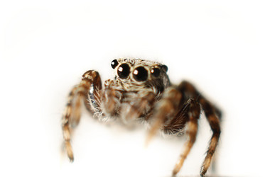 Similar image 10497857