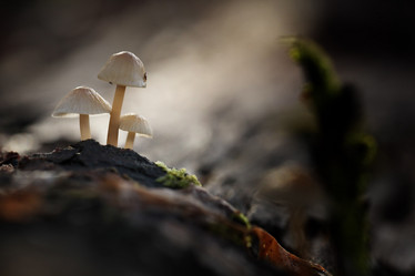 Similar image 10497858