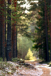 Similar image 10497859