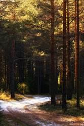 Similar image 10497861