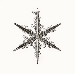 Similar image 10497868