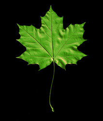 Similar image 10497871