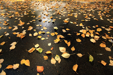 Similar image 10497875