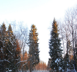 Similar image 10497876