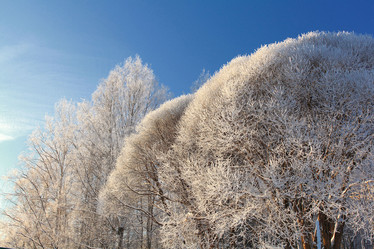 Similar image 10497877