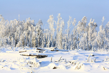 Similar image 10497880