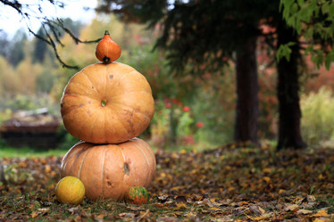 Similar image 10497882