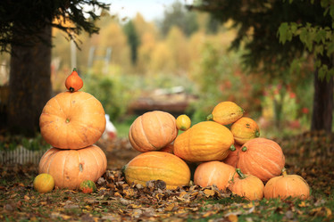 Similar image 10497886