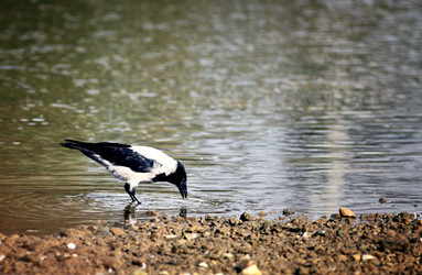 Similar image 10497887