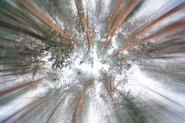 Similar image 10497890