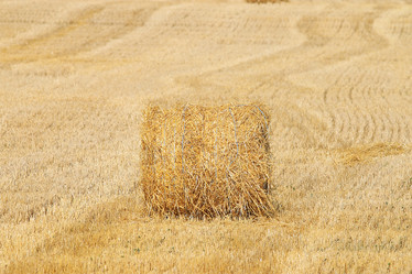 Similar image 10497900