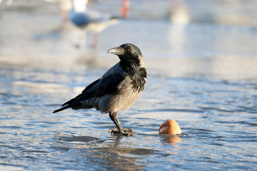 Similar image 10497903