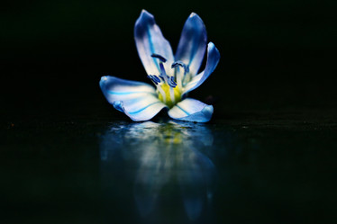 Similar image 10497904