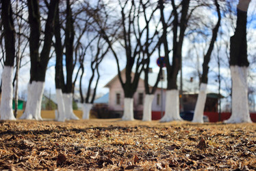 Similar image 10497907