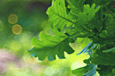 Similar image 10497909