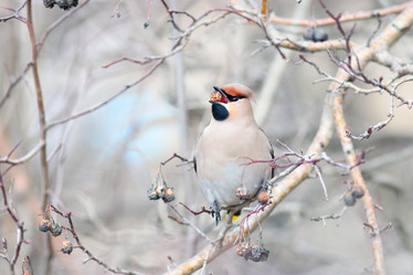 Similar image 10497911