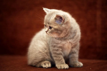 Similar image 10497913