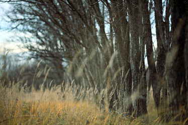 Similar image 10497916