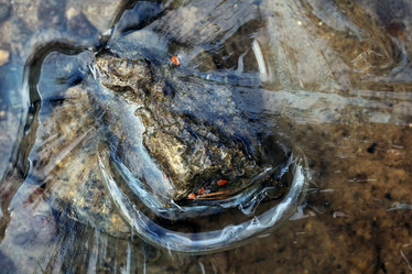 Similar image 10497917