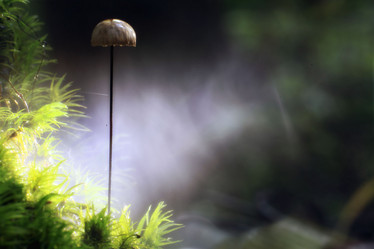 Similar image 10497919