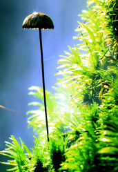 Similar image 10497920