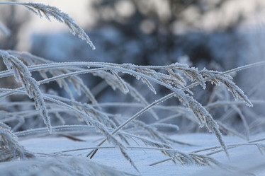 Similar image 10497928